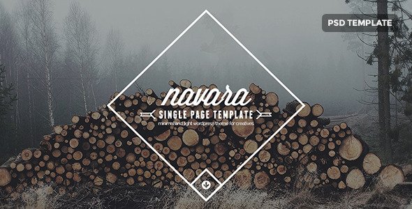 Navara - Unique Single Page PSD Template
 TFx