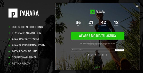 Panara - Modern & Creative Coming Soon Template
 TFx