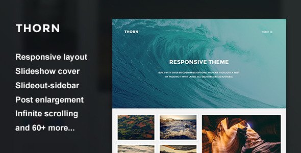 Thorn - Responsive Grid Theme
 TFx Blogging