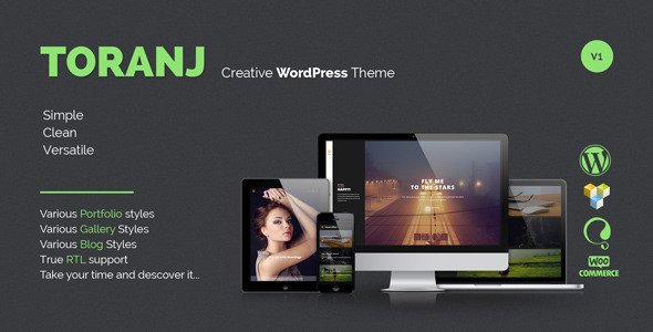 Toranj - Responsive Creative WordPress Theme
 TFx