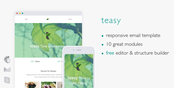 Teasy - Responsive Email Template
 TFx