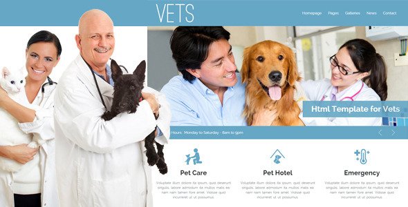 VETS - Veterinary Medical Health Clinic Template
 TFx
