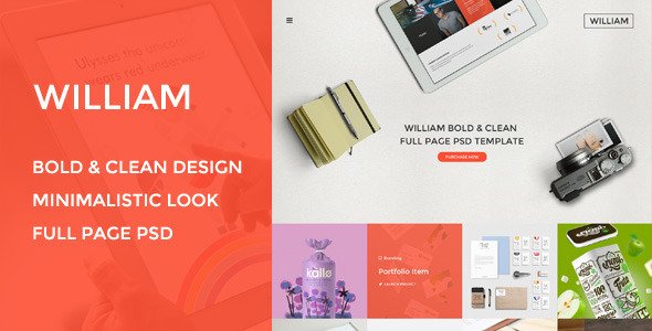 William - Agency / Portfolio & Photography
 TFx