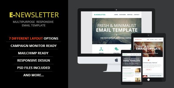 E-Newsletter - Multipurpose  Email Template
 TFx