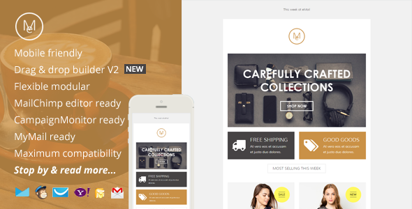 Email, eCommerce Email Template + Online Editor
 TFx