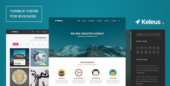 Keleus - Responsive Tumblr Business Theme
 TFx