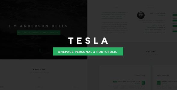 Tesla Onepage Personal/Portofolio
 TFx