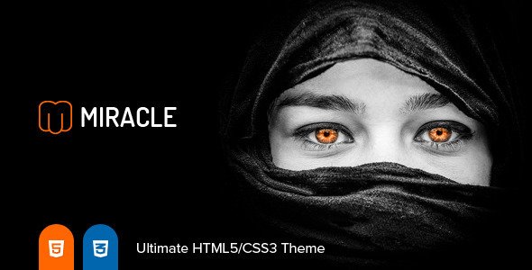 Miracle | Responsive Multi-Purpose HTML5 Template
 TFx
