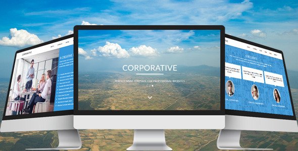 Corporative - One Page Parallax Muse Template
 TFx