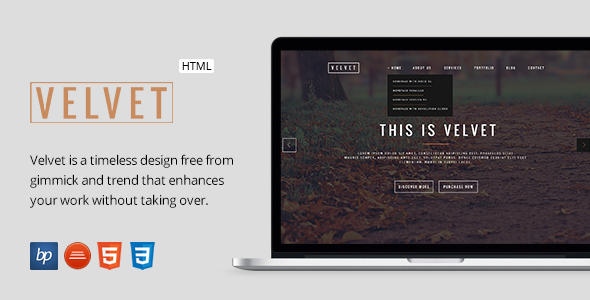 Velvet - Responsive OnePage HTML5 Template
 TFx