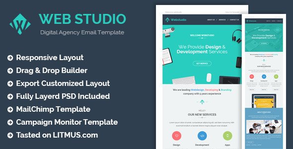 WebStudio/Agency E-newsletter + Builder Access
 TFx