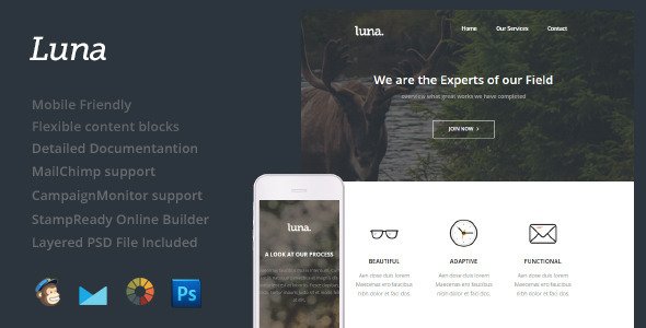 Luna - Responsive E-mail
 TFx