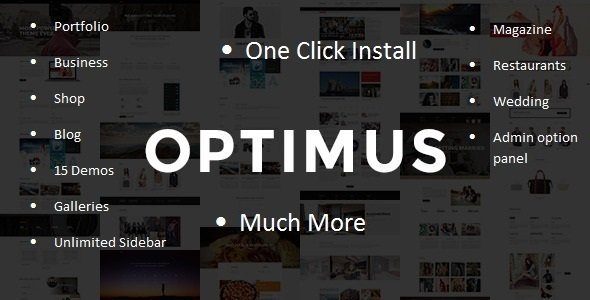 Optimus - Multi-Concept WordPress Theme
 TFx