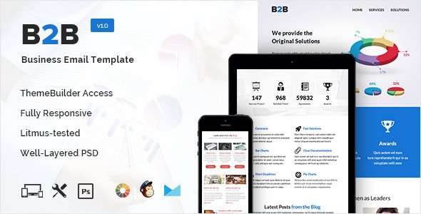 B2B - Business Email Template + Builder Access
 TFx