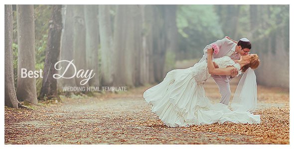 Best Day - Responsive One-Page Wedding Template
 TFx
