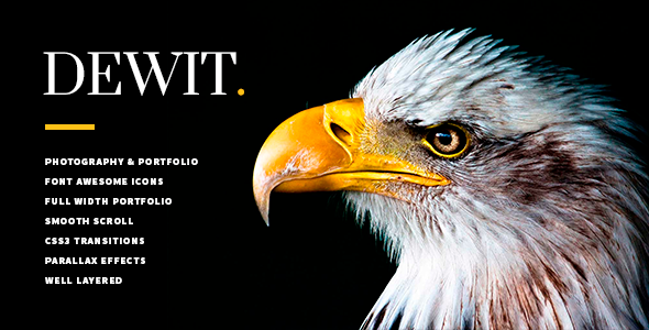 Dewit Creative Portfolio & Photography
 TFx