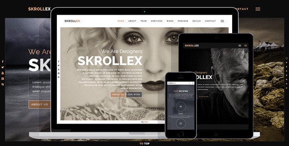 Skrollex - Creative One Page Parallax
 TFx