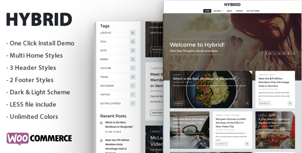 Hybrid - Clean & Modern WordPress Blog Theme
           TFx