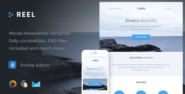 Reel - Responsive Email Template + Online Editor 
           TFx