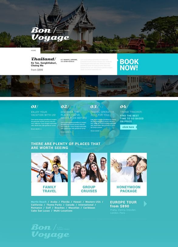 Tour Operator Services WordPress Theme TMT