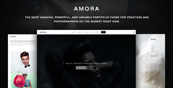 Amora - Creative Responsive Multi-Concept Theme
           TFx