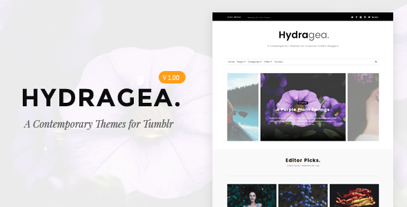 Hydragea | A Contemporary Tumblr Themes
           TFx