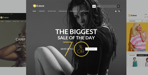 EStore - Responsive Magento Theme 
           TFx