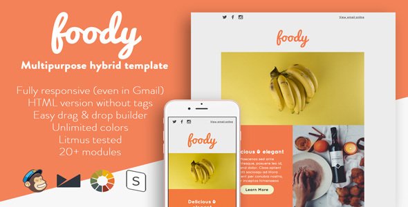 Foody - Responsive Email + StampReady Builder
           TFx
