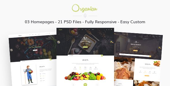 Organian - Multiconcept Organic Store PSD Template
           TFx