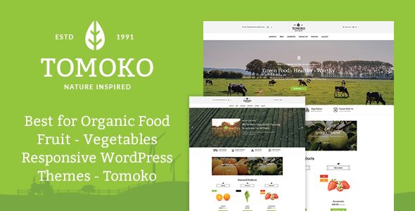 Organic Food/Fruit/Vegetables Responsive WordPress Theme - Tomoko
           TFx