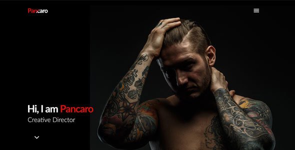 Pancaro - Personal Resume & CV WP Theme
           TFx