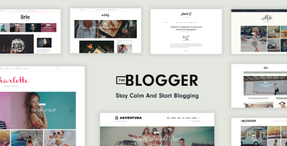 TheBlogger - A WordPress Blogging Theme for Bloggers
           TFx