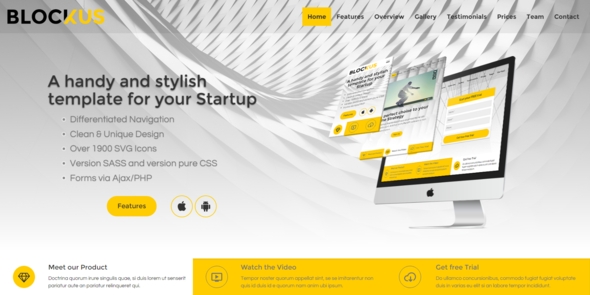 Blockus – Handy and Stylish Business Template
           TFx