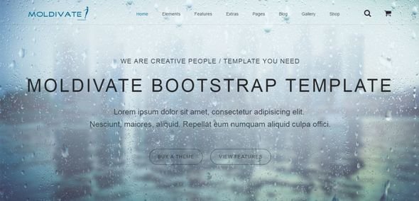 Moldivate - One And Multi PageTemplate
           TFx