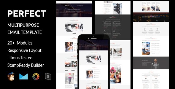 Perfect - Multipurpose Responsive Email Template + Online Stampready Builder Access
           TFx