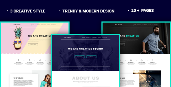 The Crazy - Creative Agency WP Template
           TFx