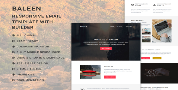 baleen - Responsive Multipurpose Email template with Stampready builder
           TFx