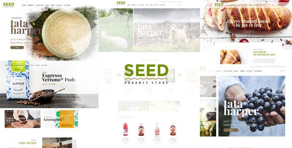 Seed - Organic WordPress Theme
           TFx
