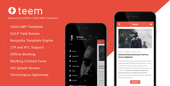 teem - AMP Blogging Template
           TFx