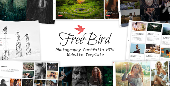 FreeBird - Photography Portfolio HTML Website Template
           TFx