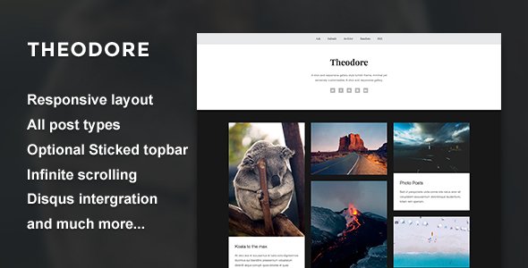 Theodore - A Responsive Gallery Theme
           TFx