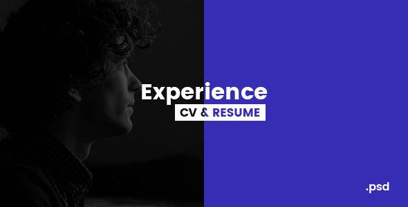 Experience - CV/Resume PSD Template
           TFx