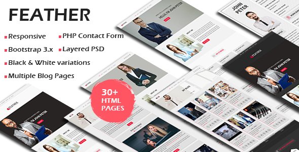 FEATHER - Multipurpose Responsive Personal Portfolio, Resume One Page HTML Template
           TFx