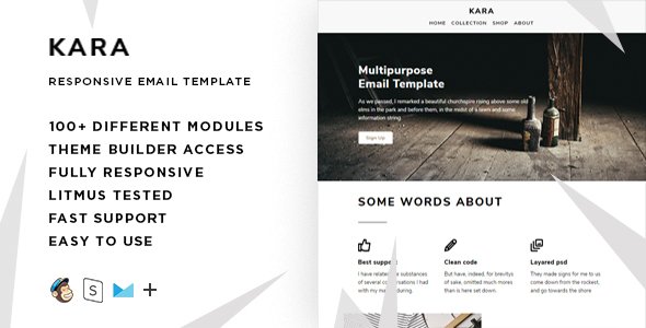 Kara – 100+ Modules - Responsive Email + StampReady Builder & Mailchimp Editor
           TFx