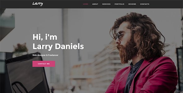 Larry. - Personal Onepage WordPress Theme
           TFx