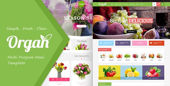 Organ - Ecommerce Multipurpose HTML5 Template
           TFx