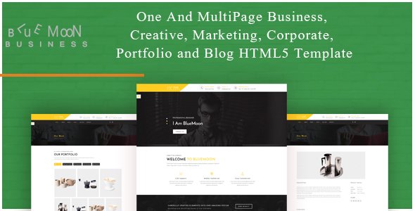 BlueMoon - One and Multipage Creative , Business , Corporate Agency and Portfolio HTML5 Template
           TFx