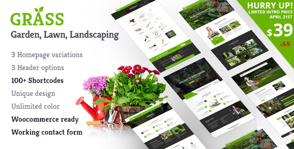 Grass - A Theme for Gardening & Landscaping Services
           TFx