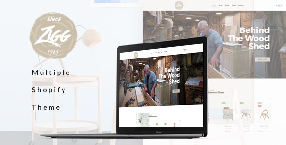 Ap Zigg Shopify Theme
           TFx Desmond Norm