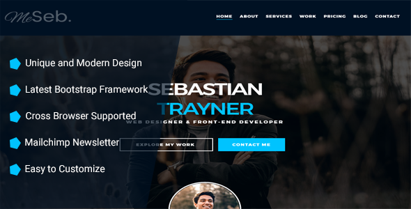 MeSeb - Responsive One Page CV/Resume/Portfolio TFx Elmo Darby